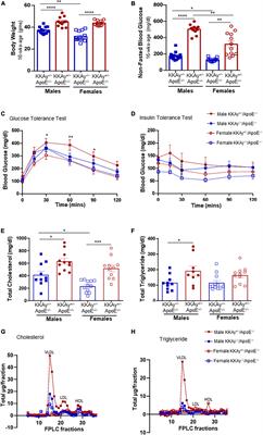 Sex-specific differences in atherosclerosis, thrombospondin-1, and smooth muscle cell differentiation in metabolic syndrome versus non-metabolic syndrome mice